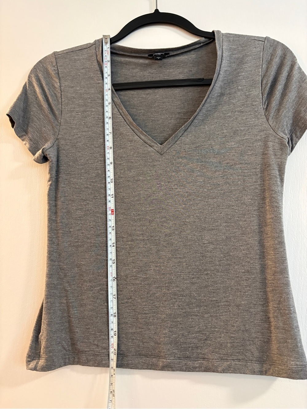 Express M Grey Cropped T-shirt
